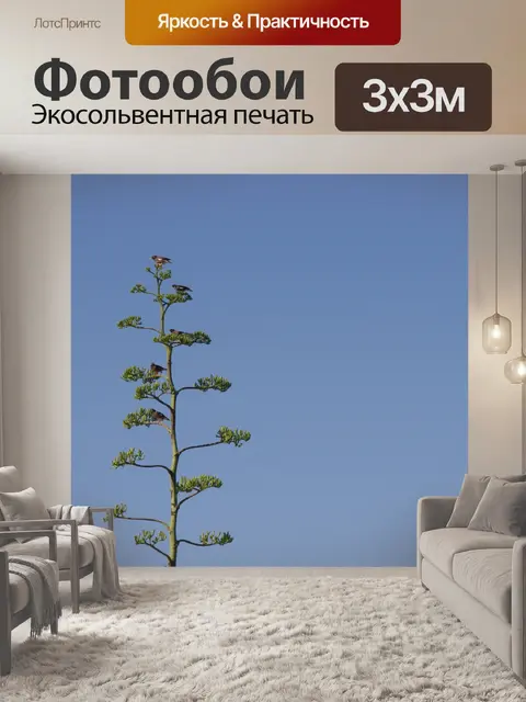 Фотообои Высокое дерево агавы американа с птицей