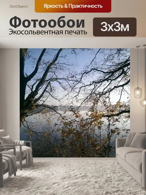 Фотообои Зима