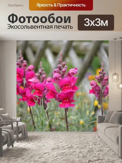 Фотообои Голландские цветы в саду