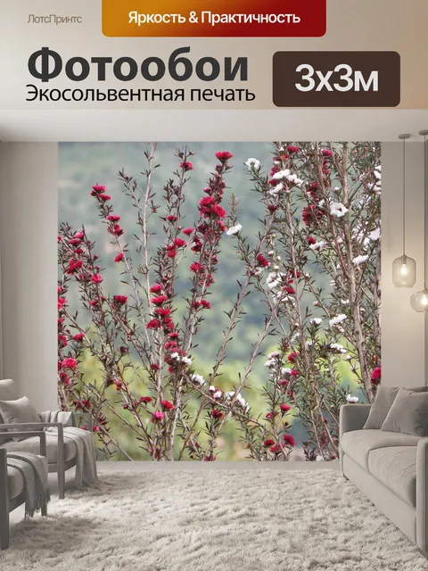 Фотообои Цветы