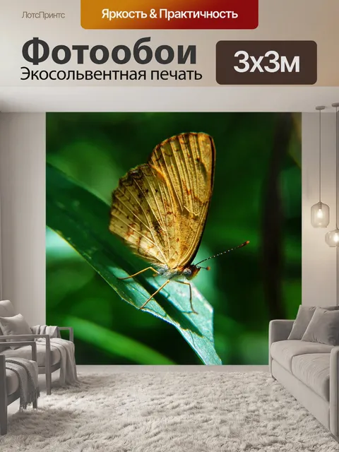 Фотообои Бабочки