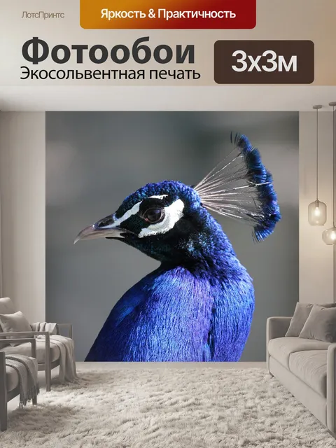 Фотообои Павлин