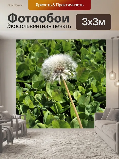 Фотообои Крупный план семени одуванчика
