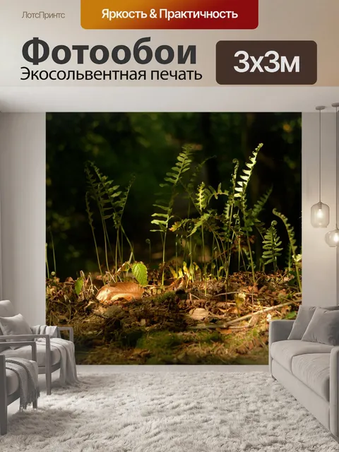 Фотообои Лес