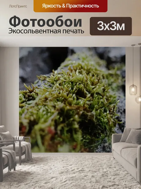 Фотообои Мох