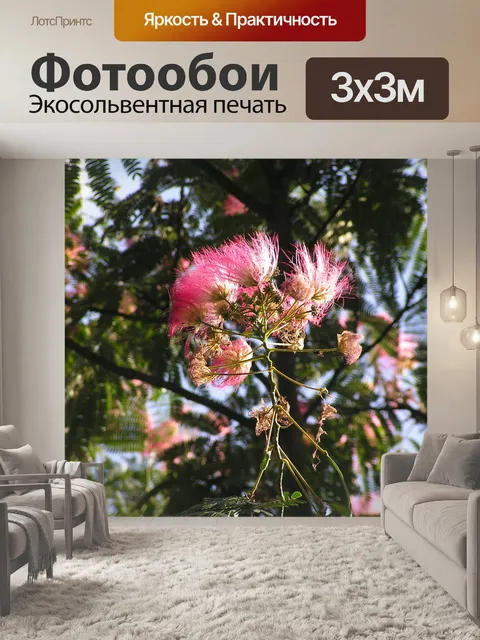Фотообои Albizia