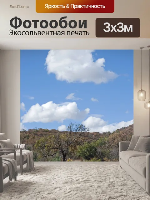 Фотообои южноафриканский пейзаж с небом