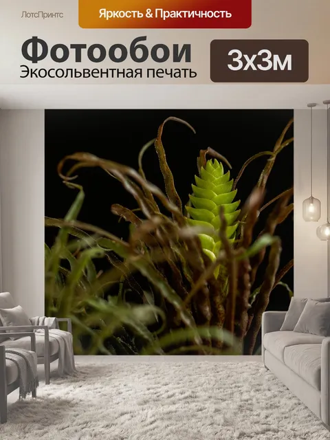 Фотообои Сочный