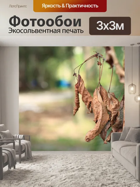 Фотообои Листья