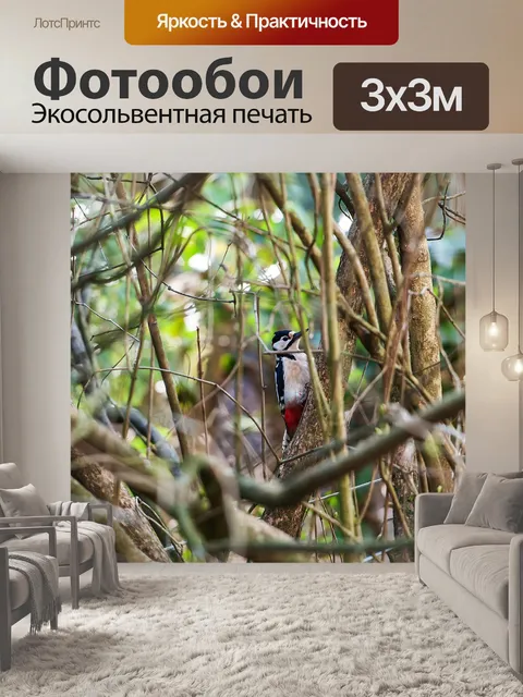 Фотообои Птица