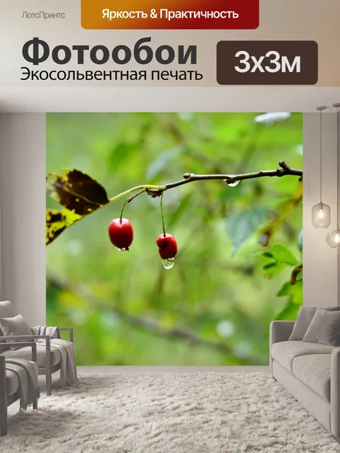 Фотообои Фрукты