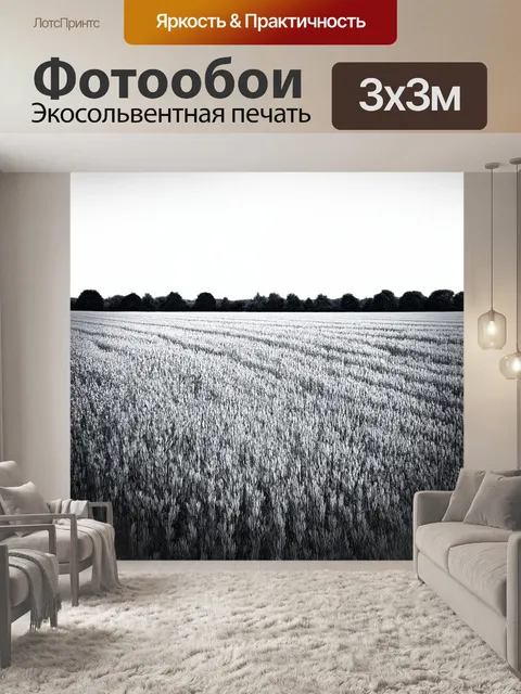 Фотообои поле, покрытое силуэтами растений в черно-белом исполнении, создающее эффектный минимализм и глубину
