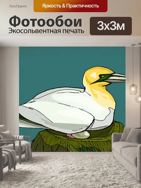 Фотообои (тропических) птицы
