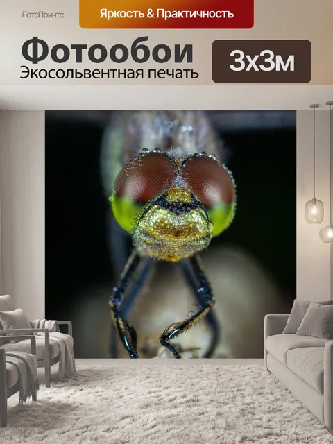 Фотообои Насекомое