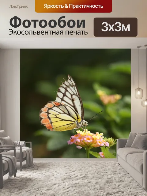 Фотообои Бабочка