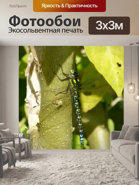 Фотообои Стрекоза на ветке