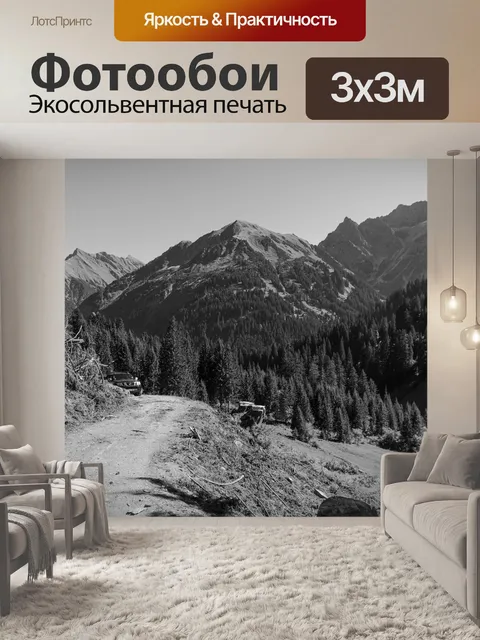 Фотообои Черно-белый