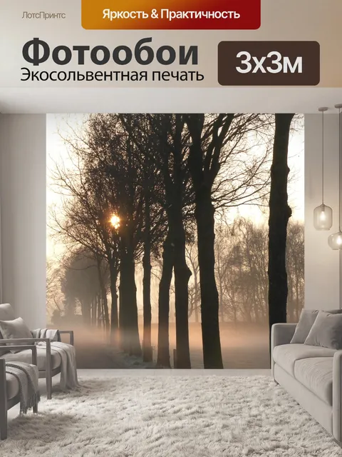 Фотообои Туман