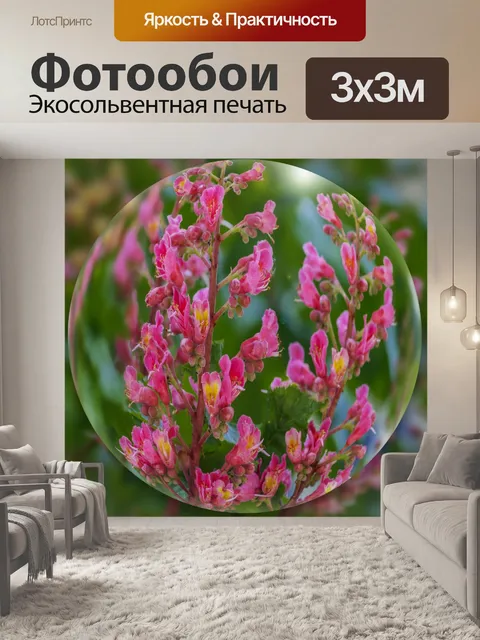 Фотообои Весенние цветы