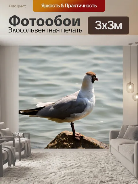 Фотообои Птицы