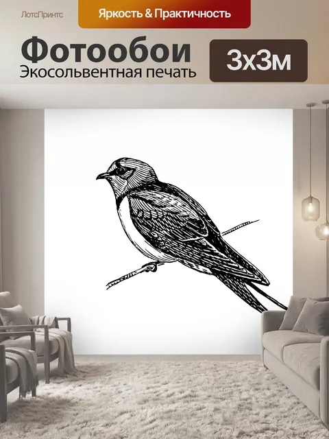 Фотообои Глотать Птица иллюстрации Клипарт