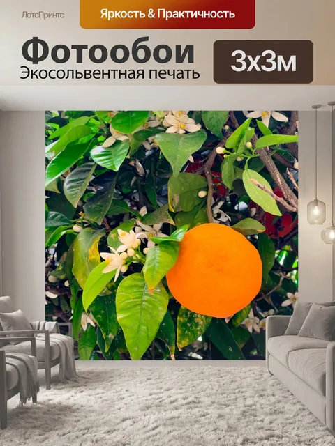 Фотообои Цветение апельсинового дерева