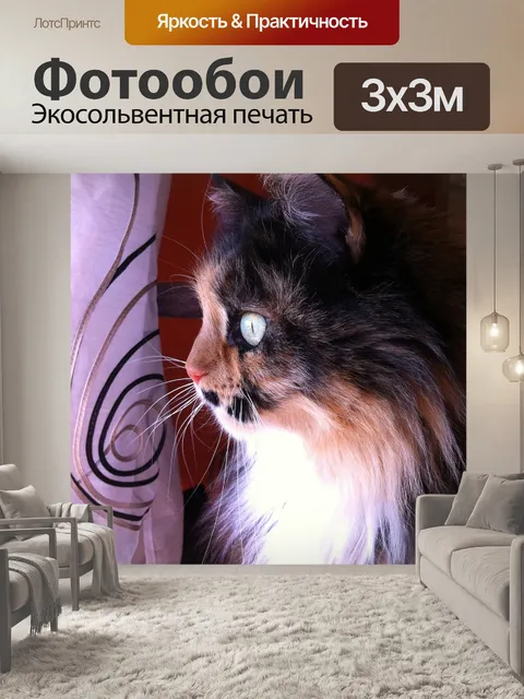 Фотообои Кошки