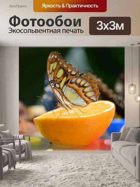 Фотообои Бабочки 2.1