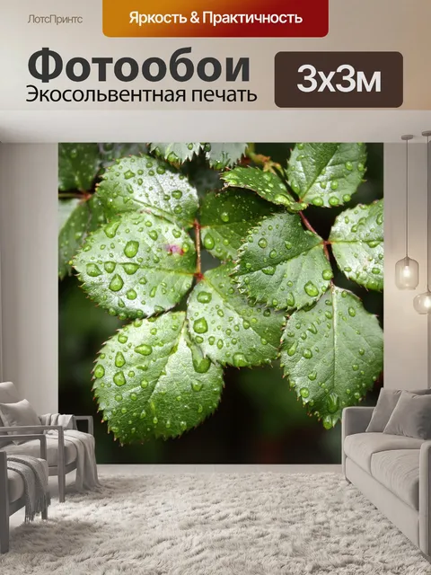 Фотообои Листья розы