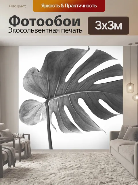 Фотообои Монстера
