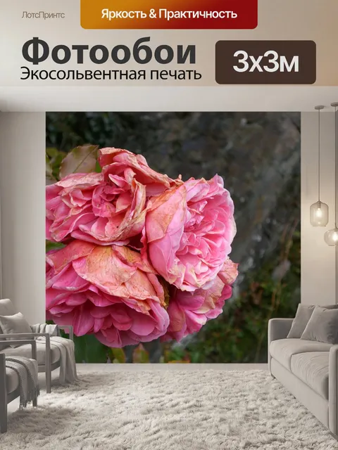 Фотообои Барокко