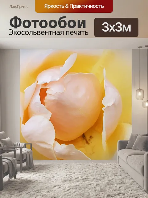 Фотообои Белый и желтый градиент розы