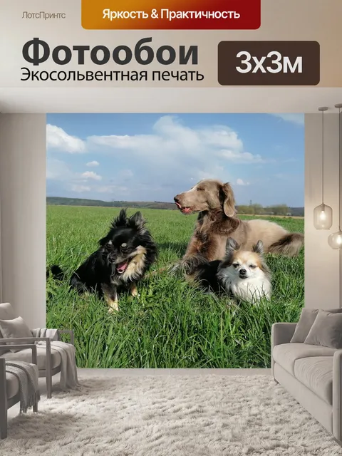 Фотообои Собаки