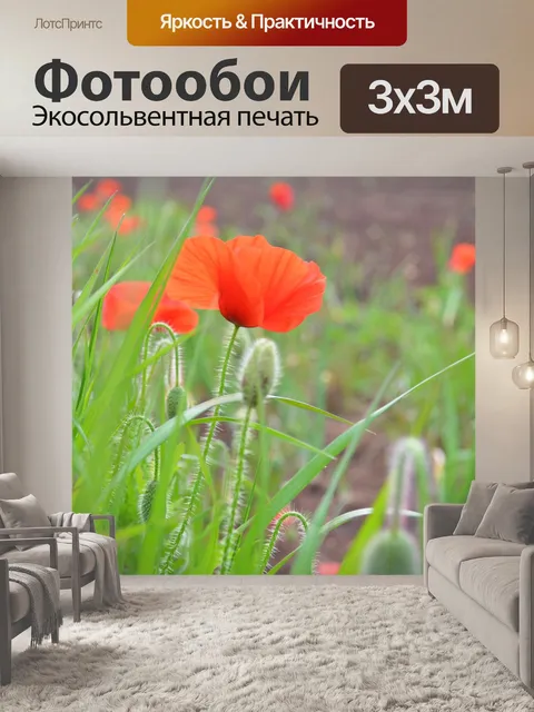 Фотообои Маки