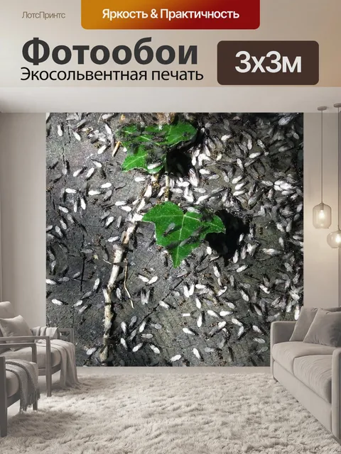 Фотообои Животные