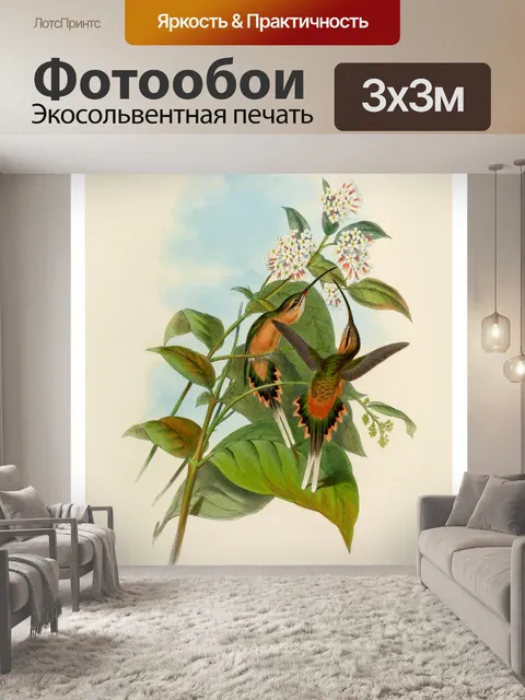 Фотообои Колибри птица винтаж старый