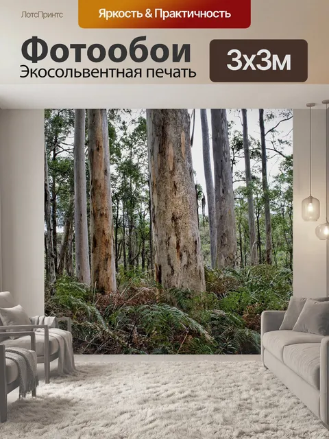 Фотообои Деревья