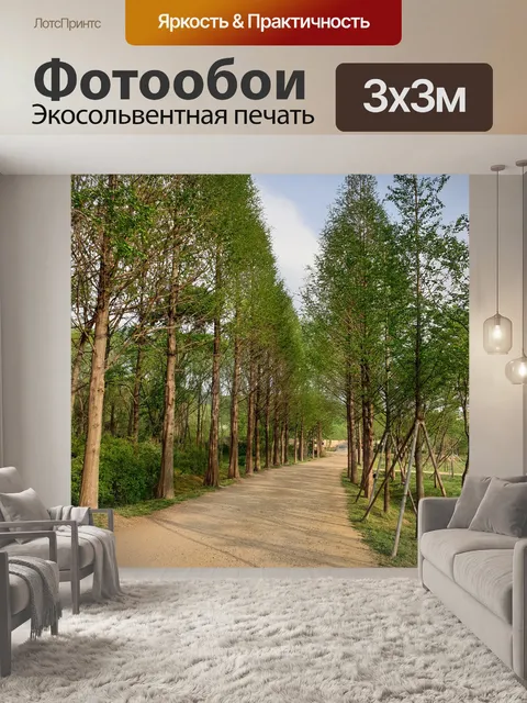 Фотообои Дорога
