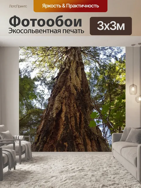 Фотообои Дерево
