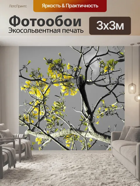 Фотообои Деревья