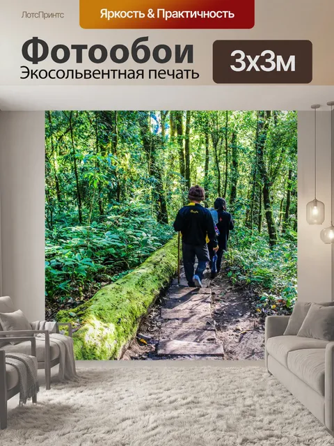 Фотообои Тропический лес в Дои Интанон, Чиангмай