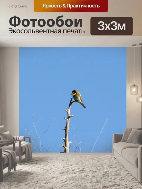 Фотообои Птица
