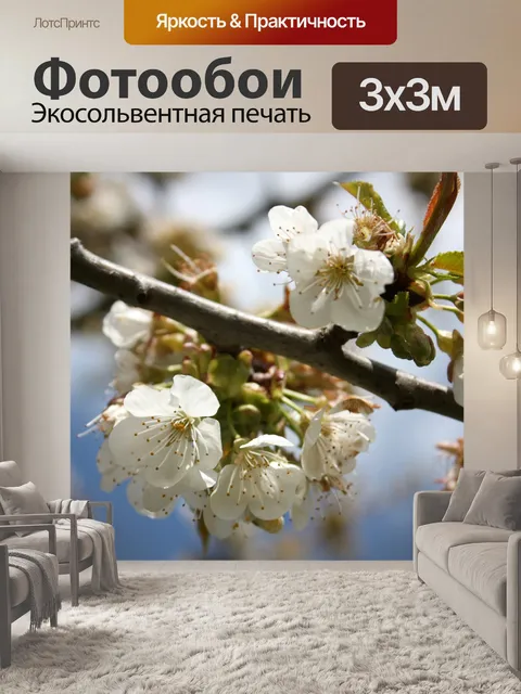 Фотообои Сад
