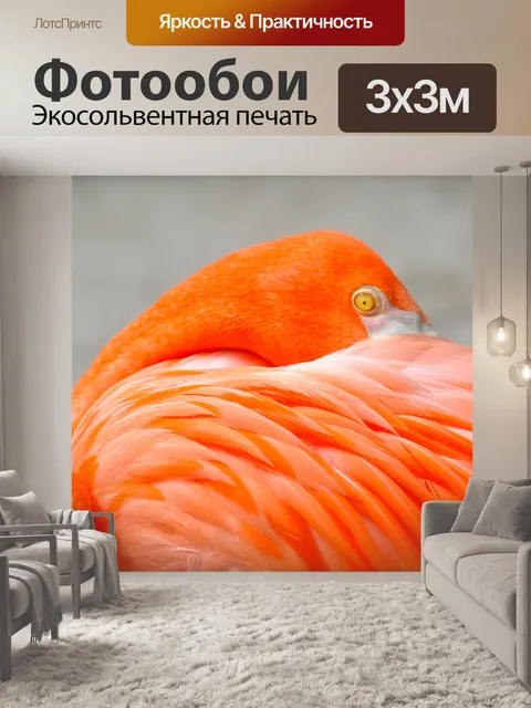 Фотообои Птица