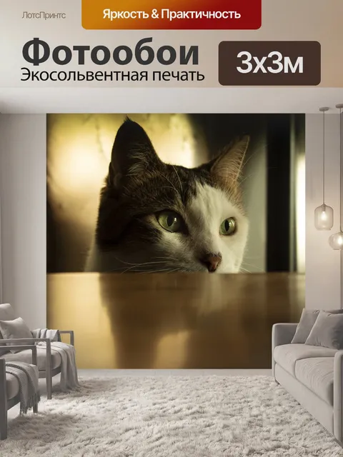 Фотообои Кошки