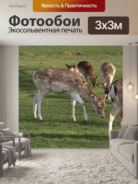 Фотообои Олень