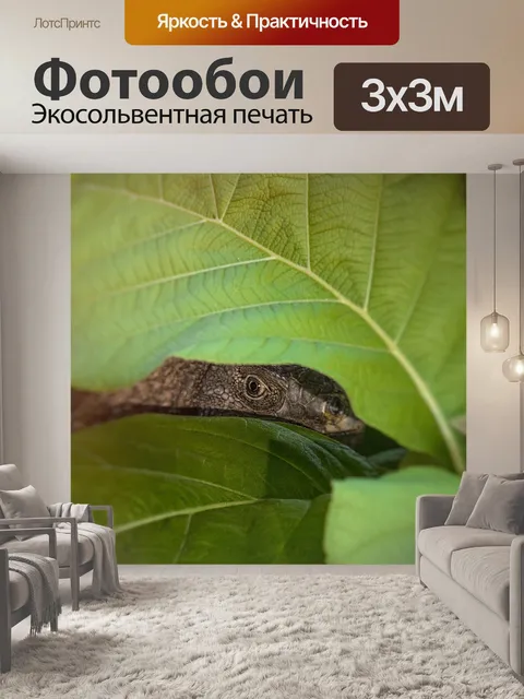 Фотообои Лист