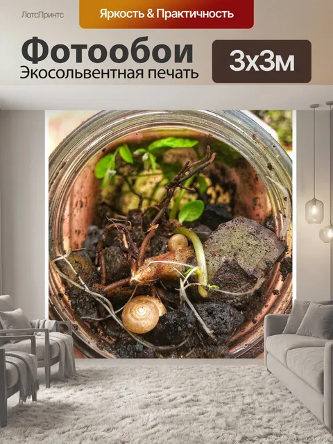 Фотообои Листья