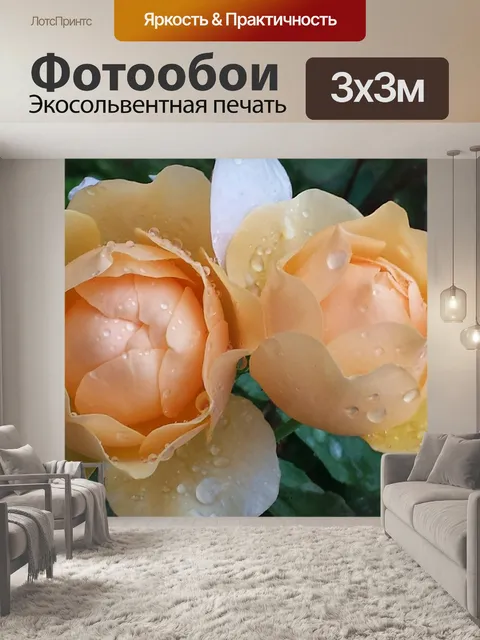 Фотообои Розы
