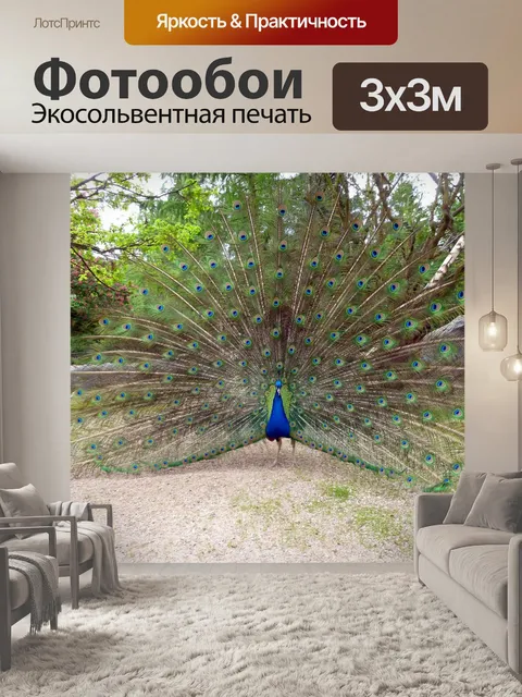 Фотообои Павлин